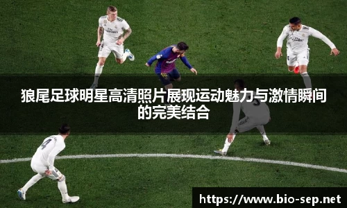 狼尾足球明星高清照片展现运动魅力与激情瞬间的完美结合