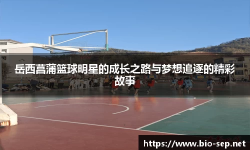 岳西菖蒲篮球明星的成长之路与梦想追逐的精彩故事